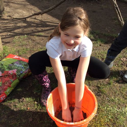 Seed bombs!