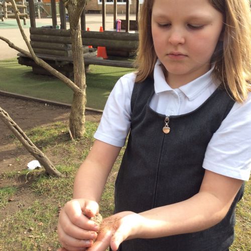 Seed bombs!