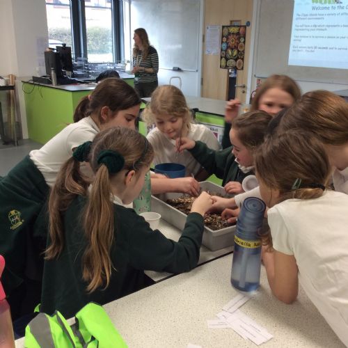 A visit to Wallingord School