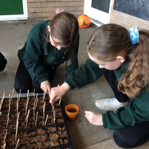 Planting