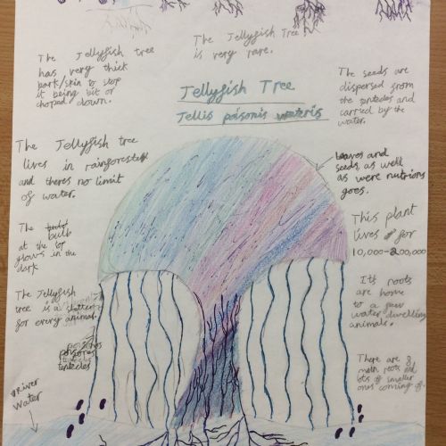 Imaginary plant adaptations